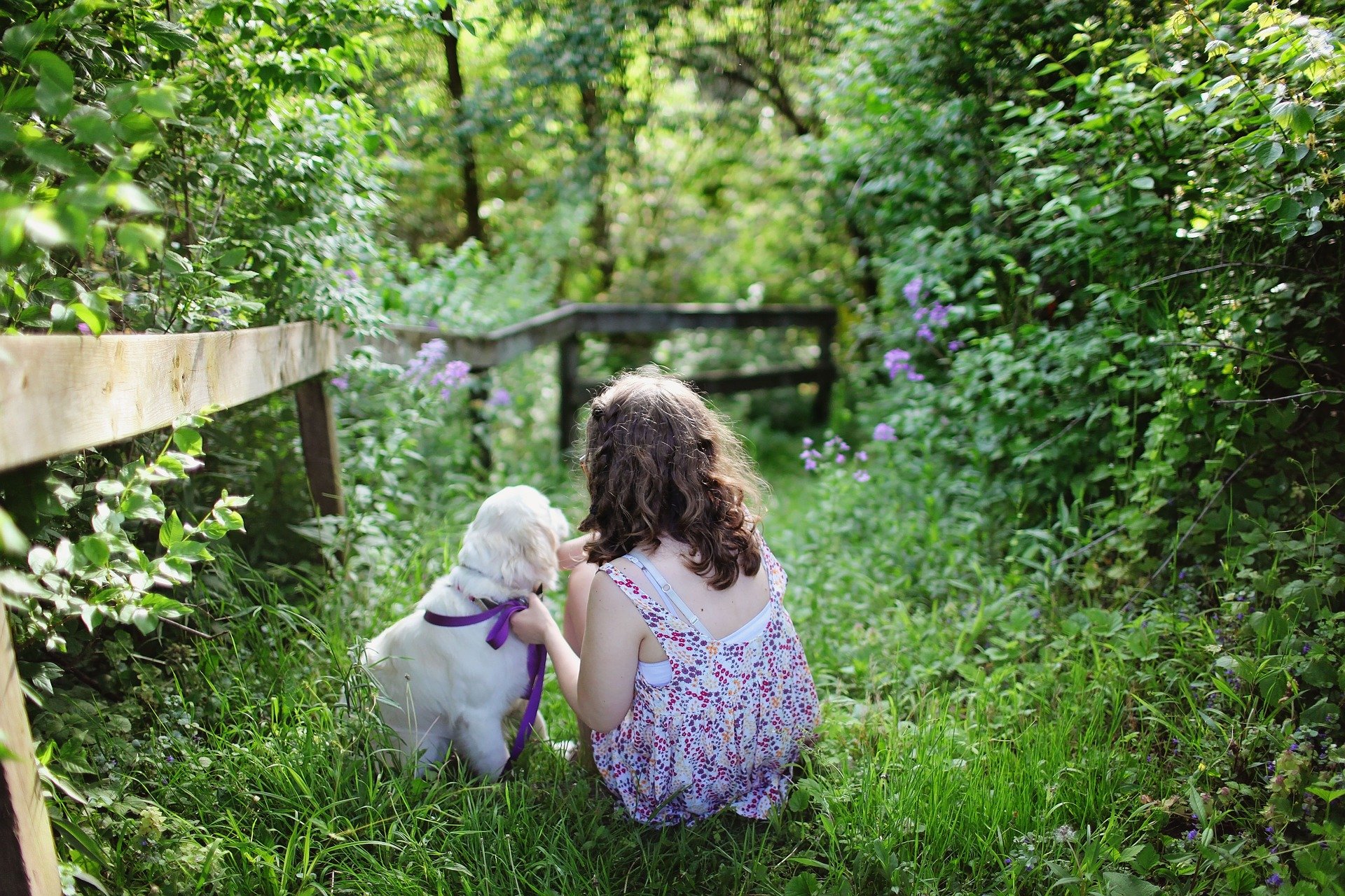 Image d'une enfant et son chien en train de se balader dans un jardin.